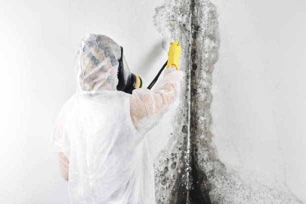 Trusted Bryans Road, MD Water damage restoration Experts